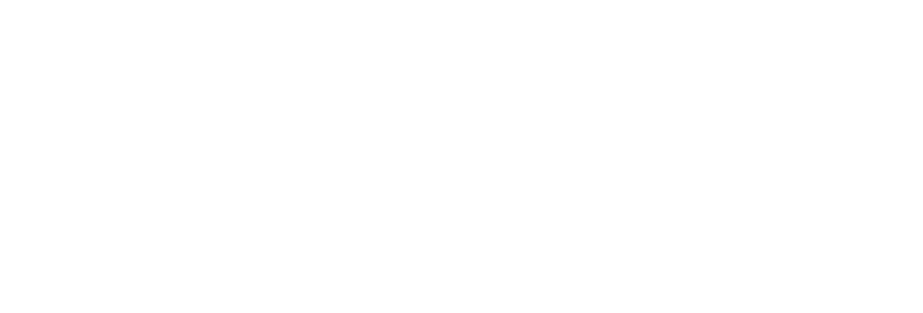 Concern Worldwide logo